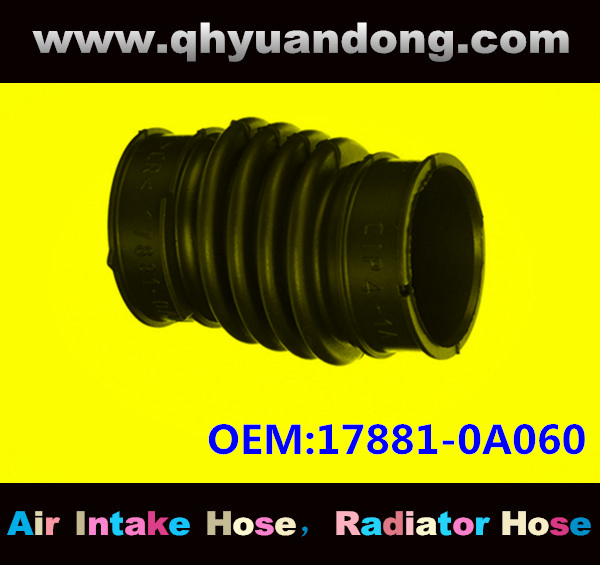 Air intake hose 17881-0A060