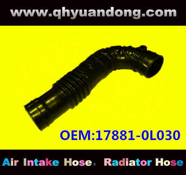 Air intake hose 17881-0L030
