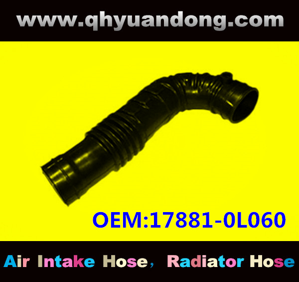 Air intake hose 17881-0L060