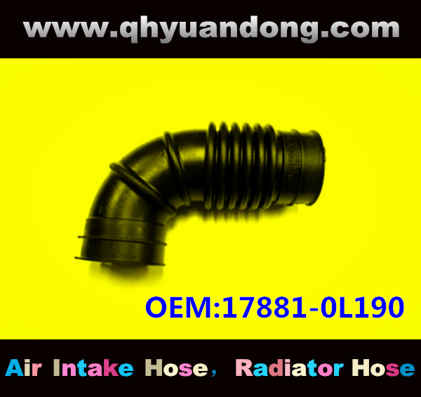 Air intake hose 17881-0L190
