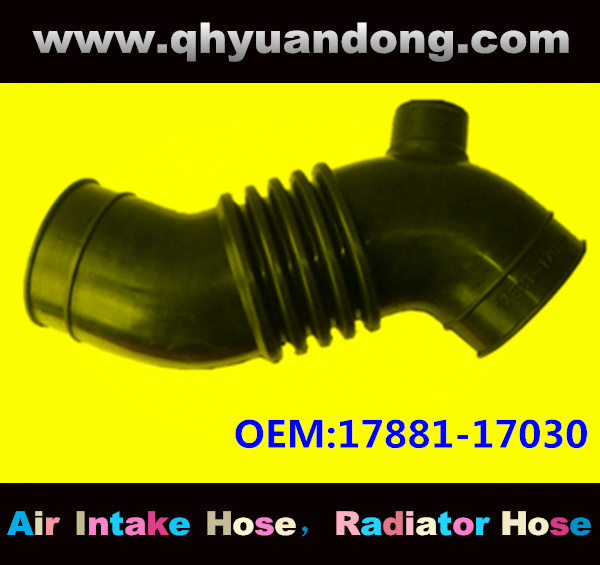 Air intake hose 17881-17030