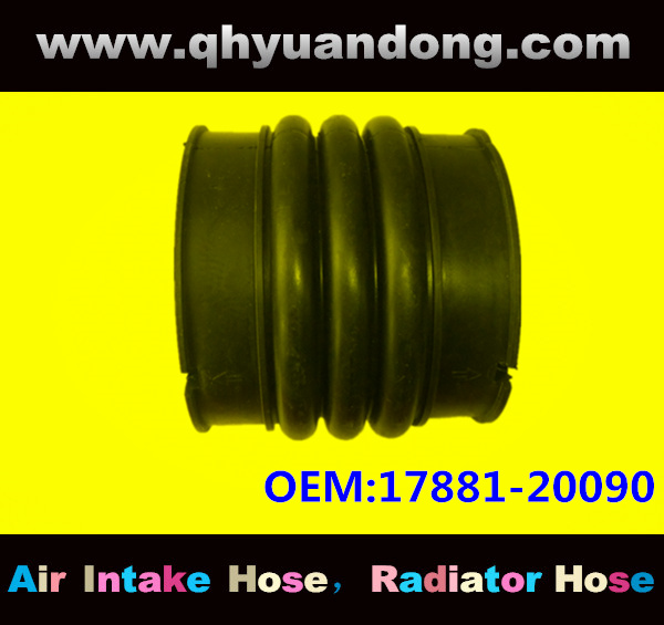Air intake hose 17881-20090