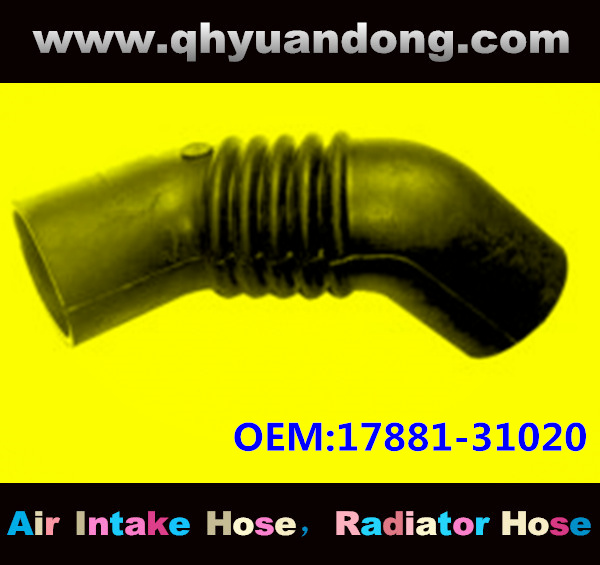 Air intake hose 17881-31020