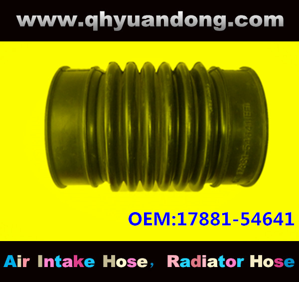 Air intake hose 17881-54641