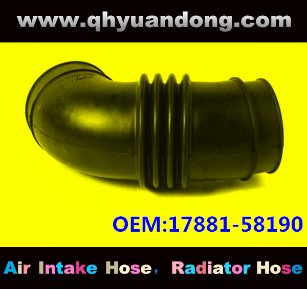 Air intake hose 17881-58190