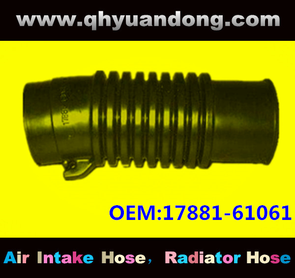 Air intake hose 17881-61061