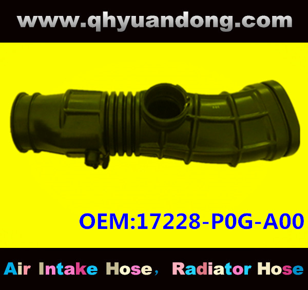Air intake hose 17228-P0G-A00