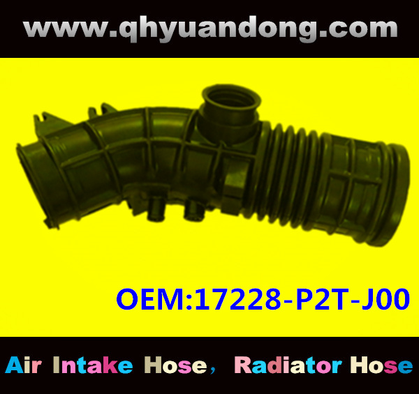 Air intake hose 17228-P2T-J00