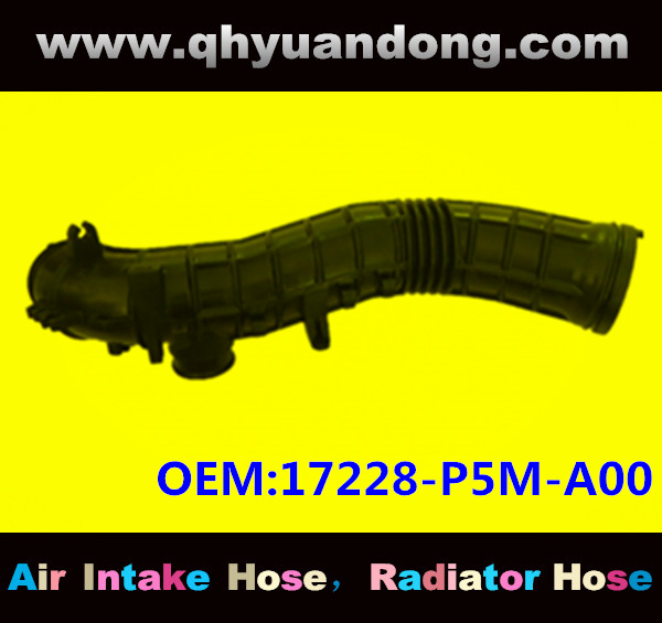Air intake hose 17228-P5M-A00
