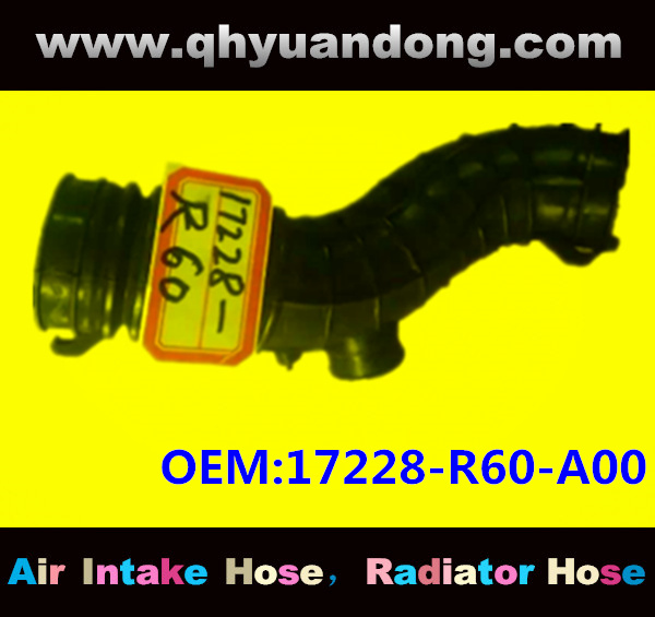 Air intake hose 17228-R60-A00