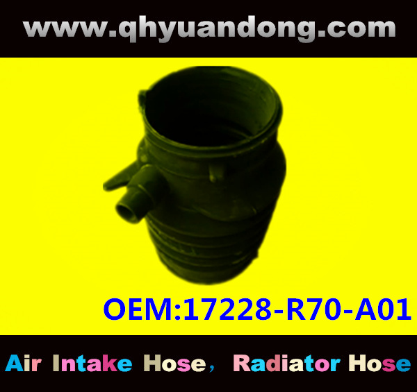 Air intake hose 17228-R70-A01