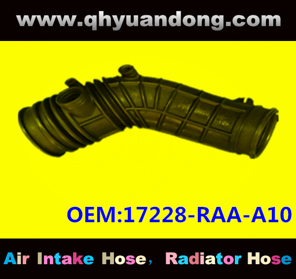Air intake hose 17228-RAA-A10