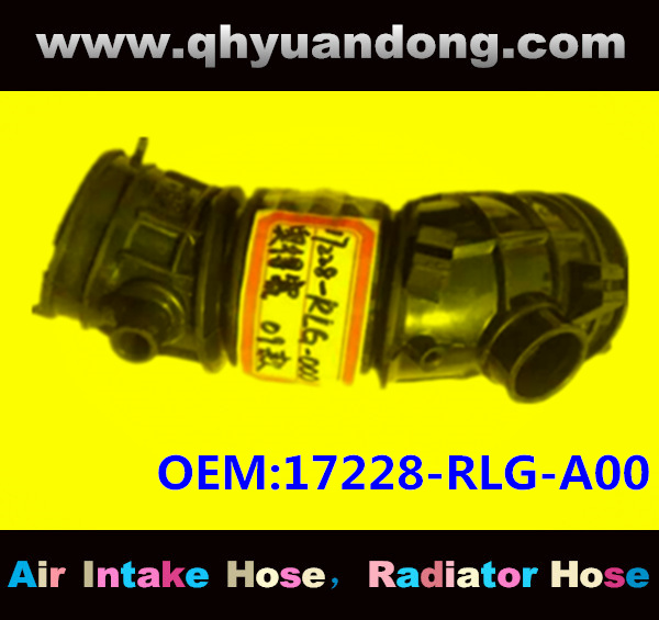 Air intake hose 17228-RLG-A00