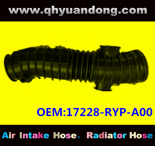Air intake hose 17228-RYP-A00