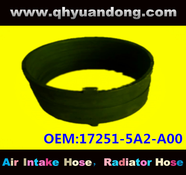 Air intake hose 17251-5A2-A00