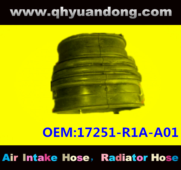 Air intake hose 17251-R1A-A01