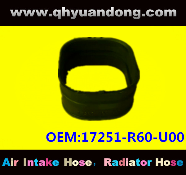 Air intake hose 17251-R60-U00