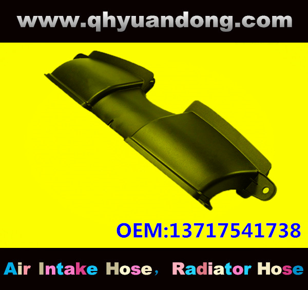 Air intake hose 13717541738