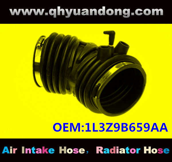 Air intake hose 1L3Z9B659AA