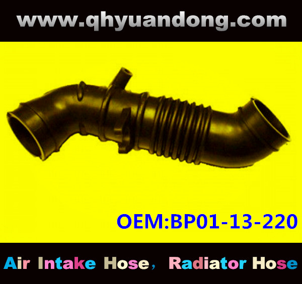 Air intake hose BP01-13-220