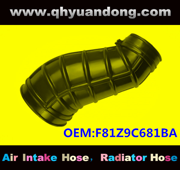 Air intake hose F81Z9C681BA