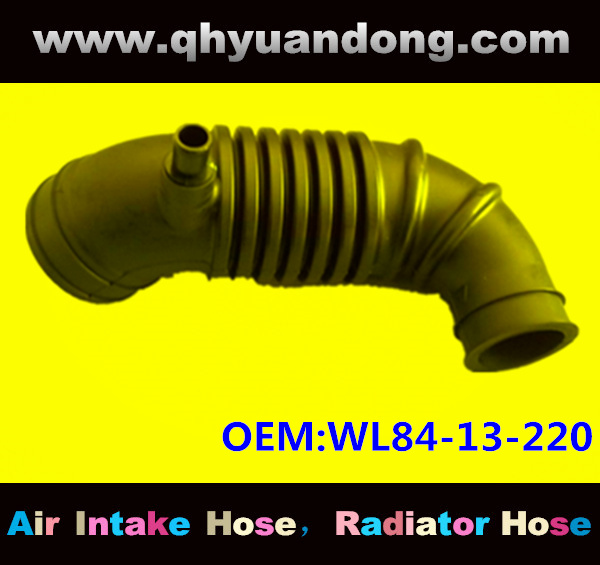 Air intake hose WL84-13-220
