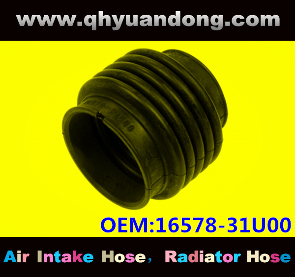 Air intake hose 16578-31U00