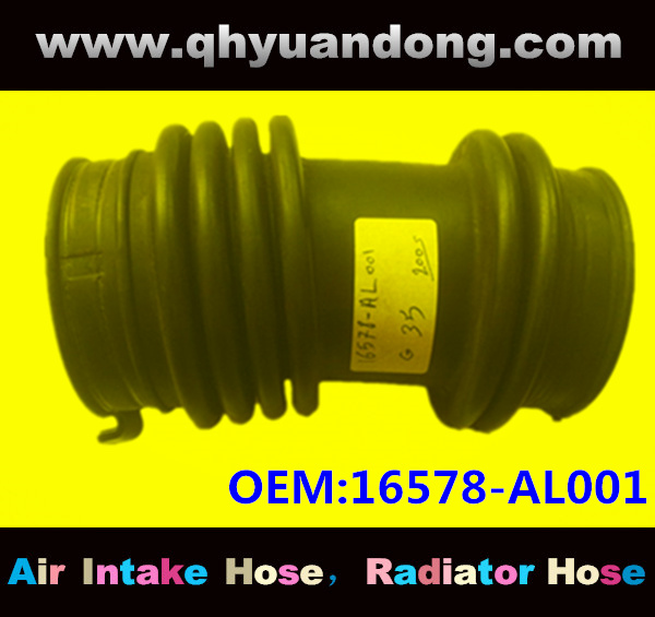 Air intake hose 16578-AL001