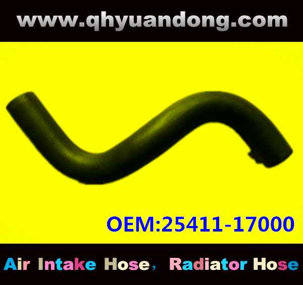 RADIATOR HOSE 25411-17000