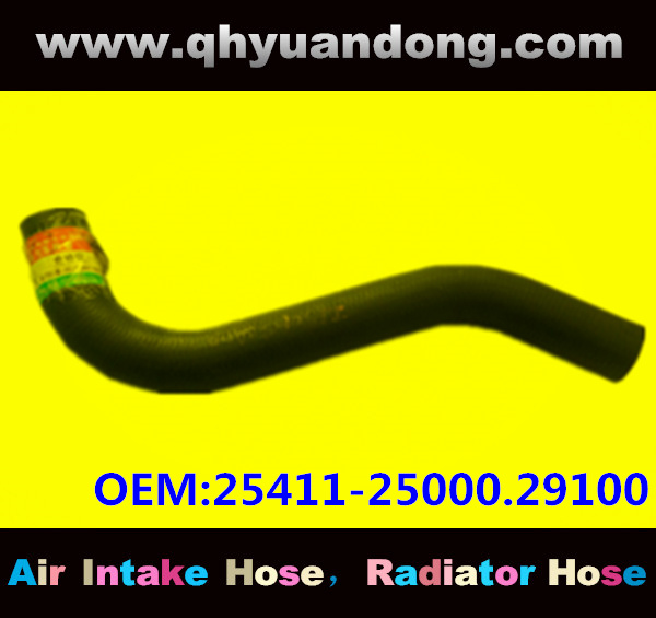 RADIATOR HOSE 25411-25000.29100