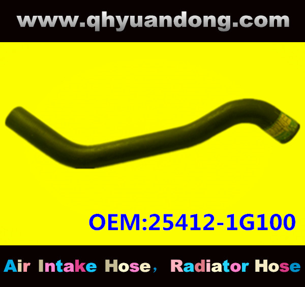 RADIATOR HOSE 25412-1G100