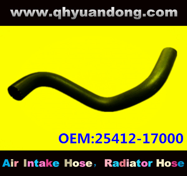 RADIATOR HOSE 25412-17000