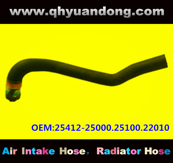 RADIATOR HOSE 25412-25000.25100.22010