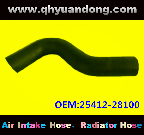 RADIATOR HOSE 25412-28100