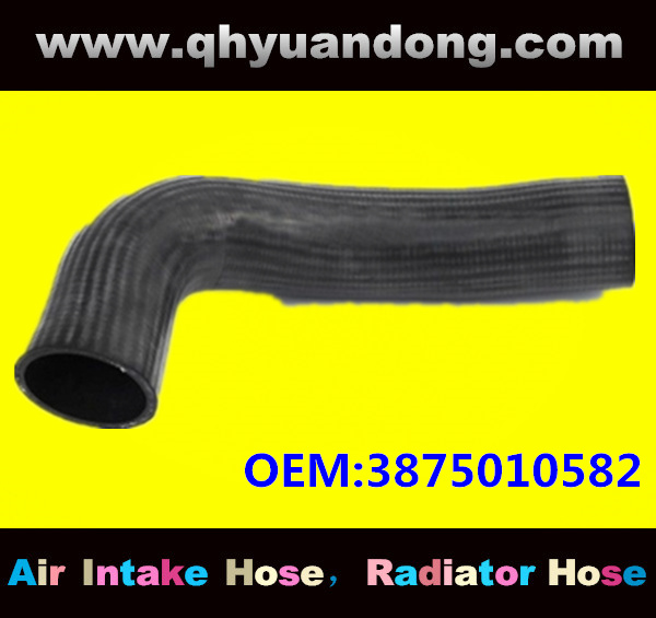 Truck SILICONE HOSE 3875010582