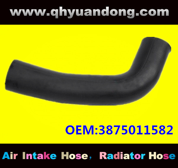 Truck SILICONE HOSE 3875011582