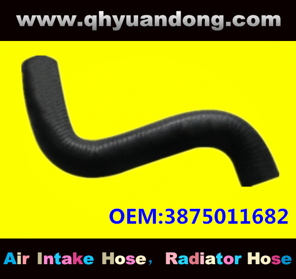 Truck SILICONE HOSE 3875011682