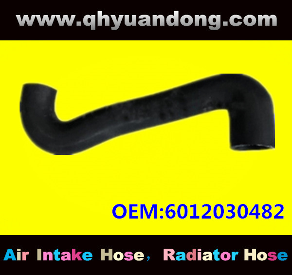 Truck SILICONE HOSE 6012030482