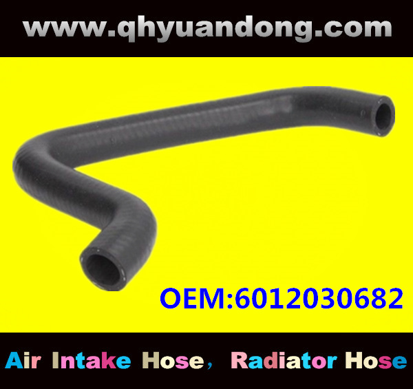 Truck SILICONE HOSE 6012030682