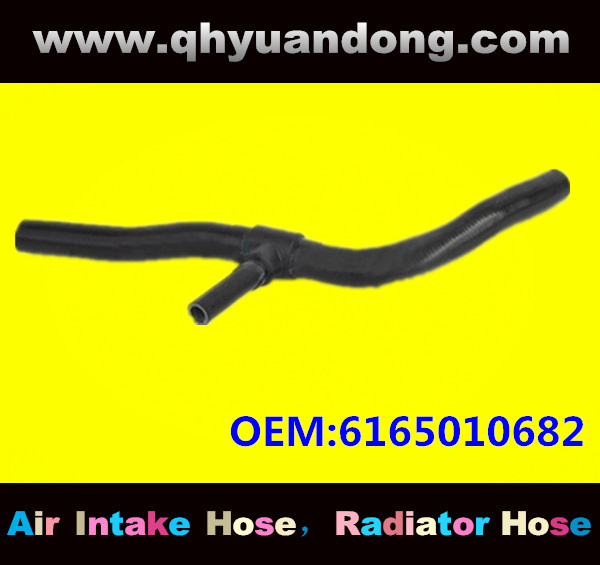 Truck SILICONE HOSE 6165010682