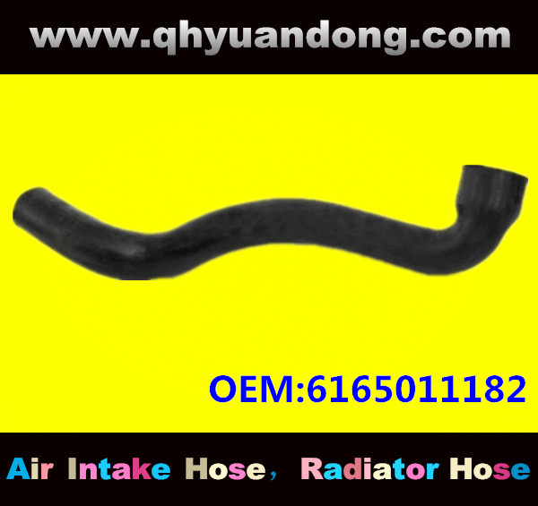 Truck SILICONE HOSE 6165011182