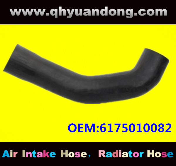 Truck SILICONE HOSE 6175010082