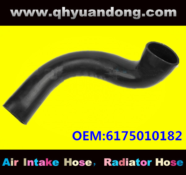 Truck SILICONE HOSE 6175010182