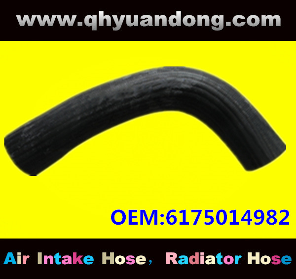 Truck SILICONE HOSE 6175014982