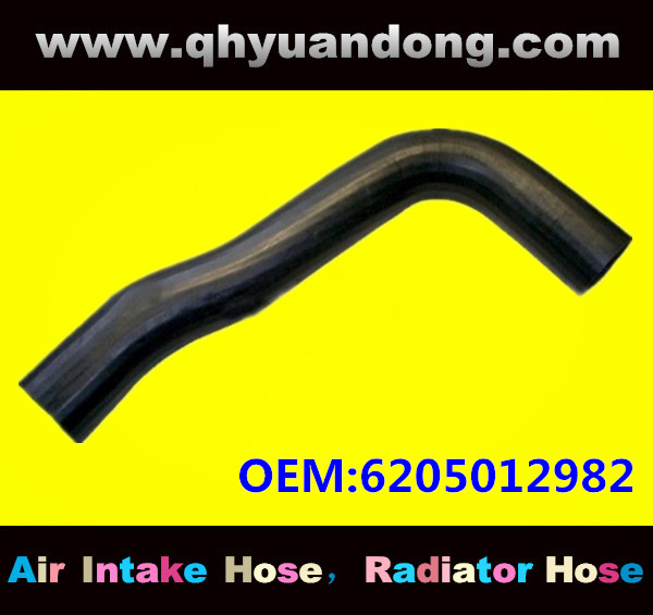 Truck SILICONE HOSE 6205012982