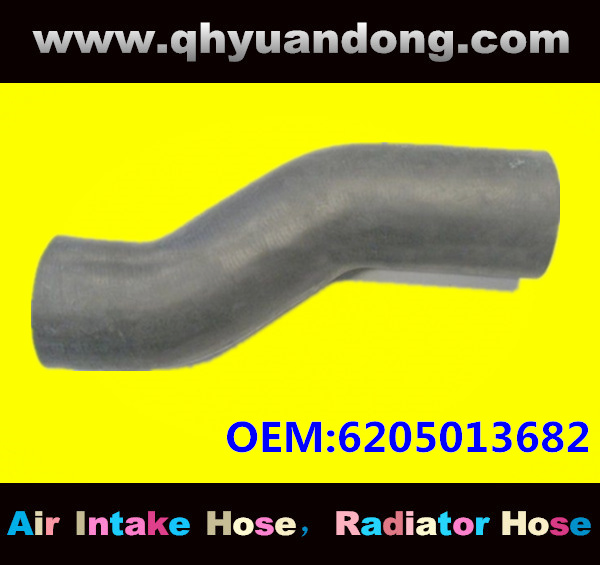 Truck SILICONE HOSE 6205013682