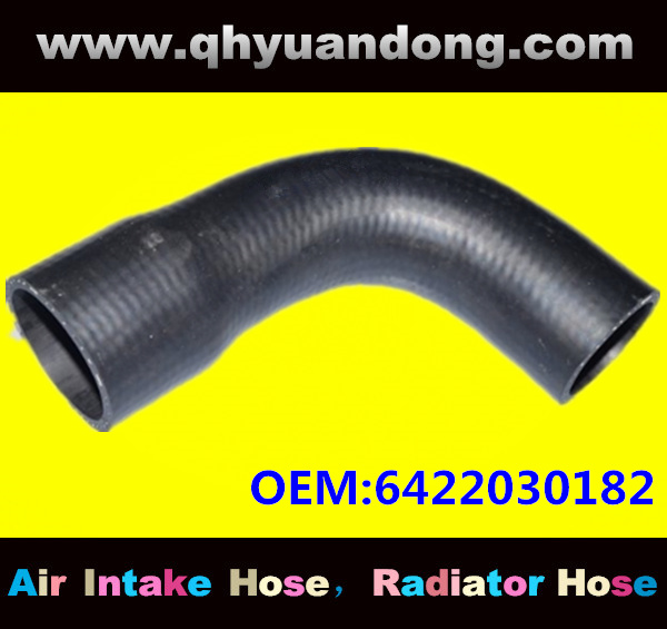 Truck SILICONE HOSE 6422030182