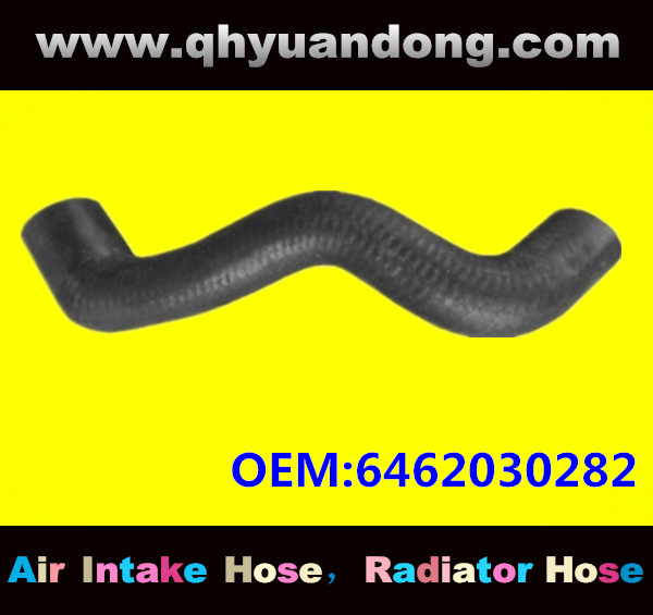 Truck SILICONE HOSE 6462030282