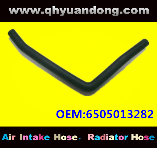 Truck SILICONE HOSE 6505013282