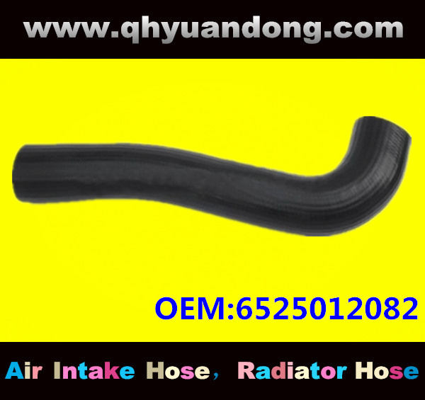 Truck SILICONE HOSE 6525012082